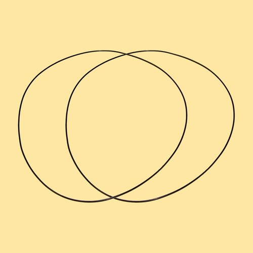 Antriebsriemen für transrotor - antriebsriemen,